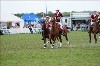 UKPA NC SAT_2708